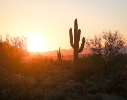 The Best Whole30 Eateries in Phoenix, Arizona